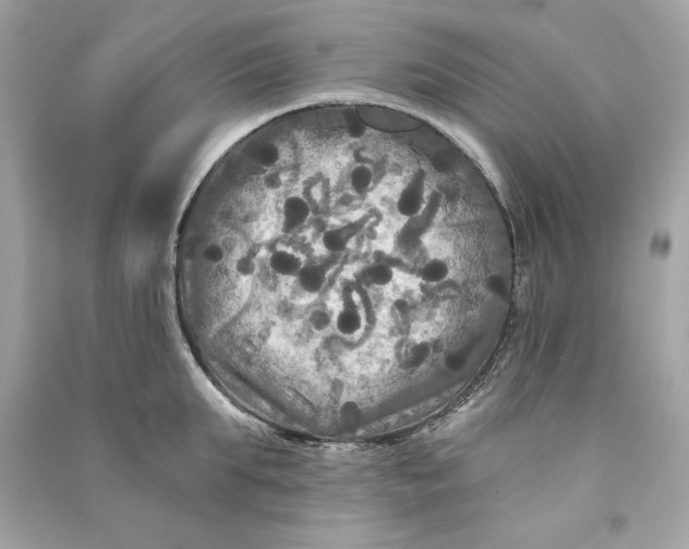 X0000090770903200708101807
