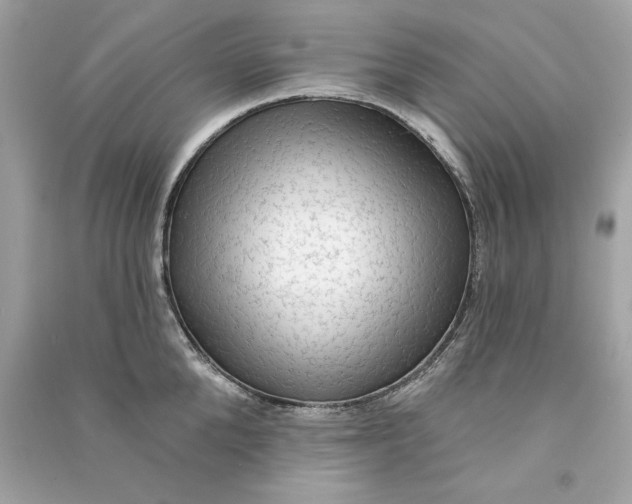X0000090770904200708101807