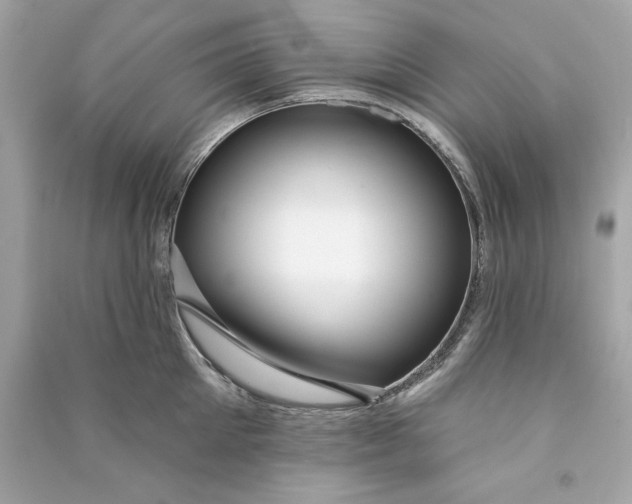 X0000090770905200708101807