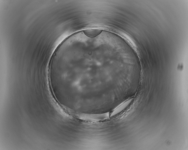 X0000090770907200708101807