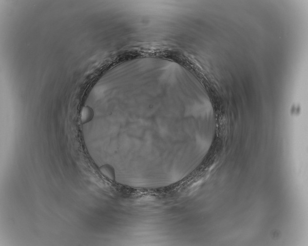 X0000090770913200708101806