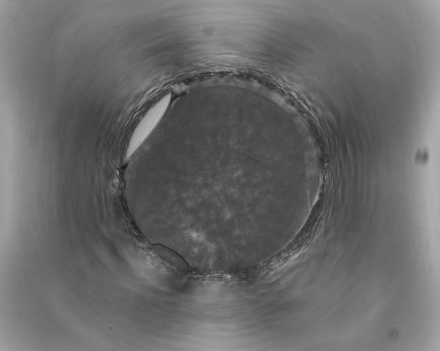 X0000090770916200708101806