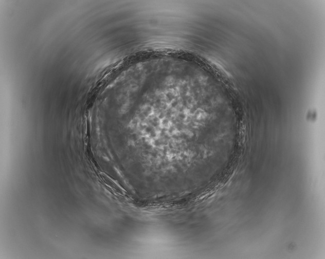 X0000090770917200708101806
