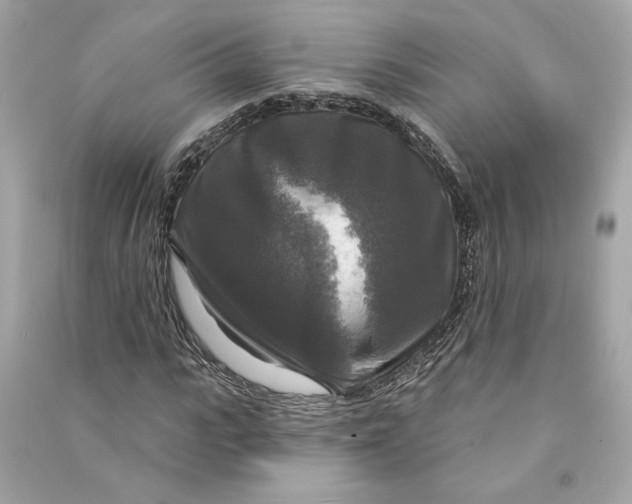 X0000090770919200708101807