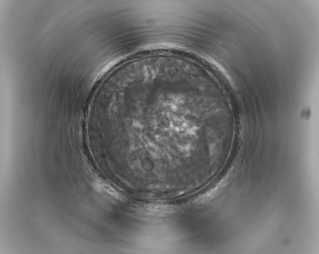 X0000090770921200708101807