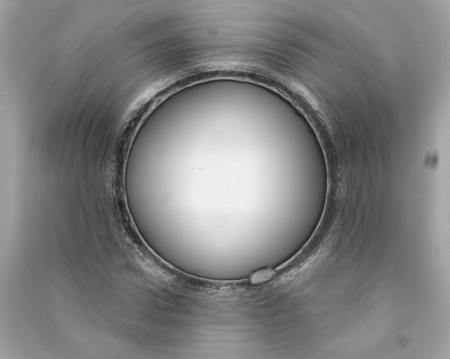 X0000090770922200708101807