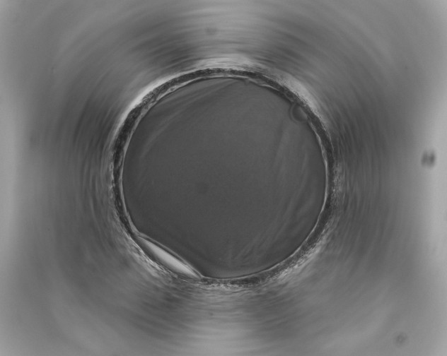 X0000090770923200708101807