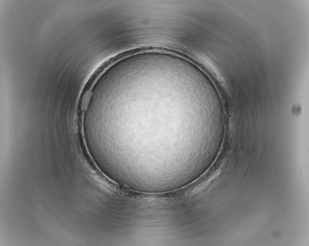 X0000090770924200708101807