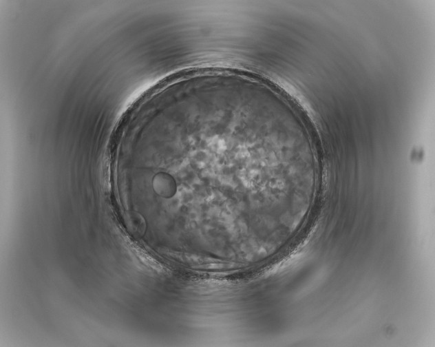 X0000090770925200708101807