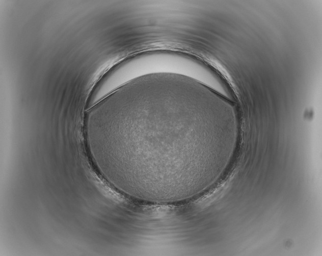 X0000090770930200708101807