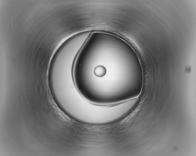 X0000090770932200708101807