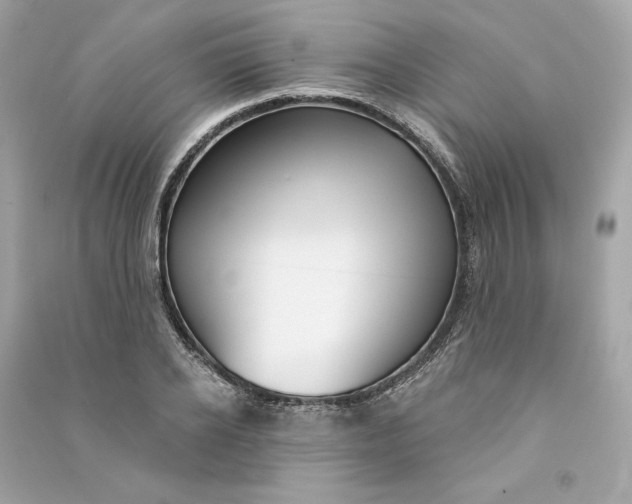 X0000090770934200708101807