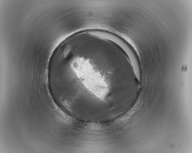 X0000090770935200708101807