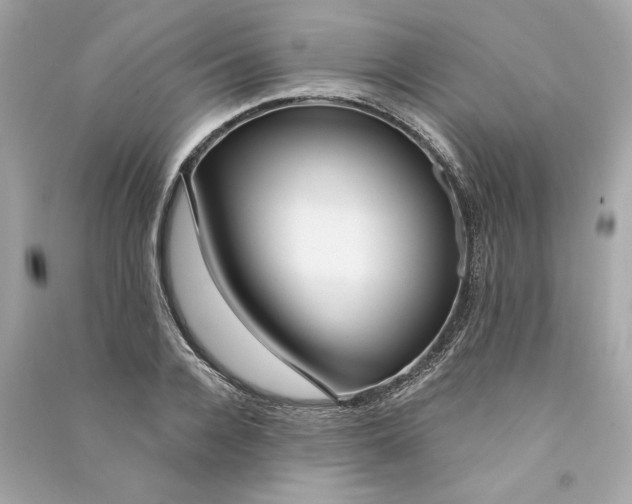 X0000090770936200708101807