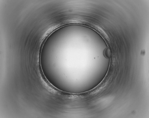X0000090770938200708101807