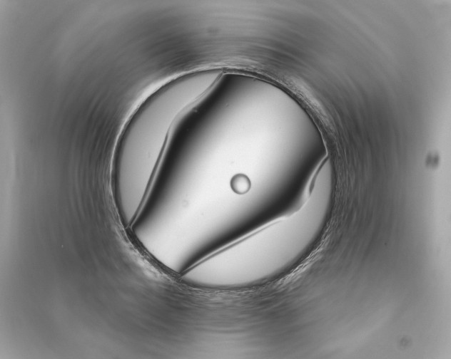 X0000090770940200708101807