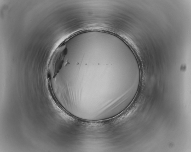 X0000090770941200708101807