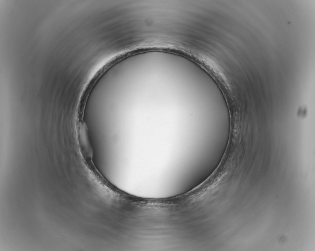 X0000090770942200708101807