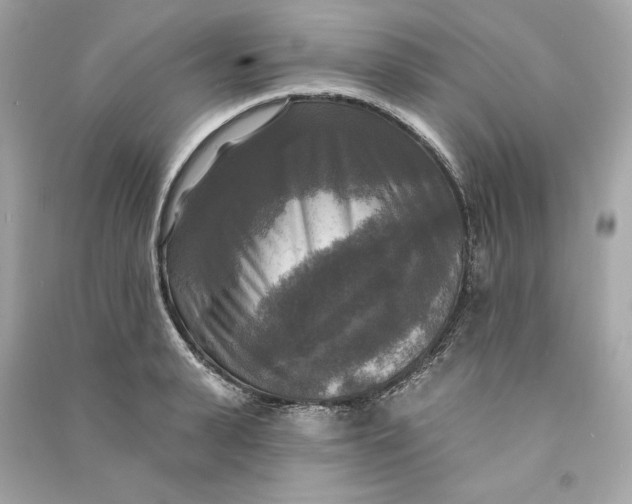 X0000090770943200708101807