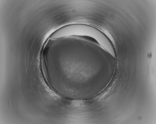 X0000090770944200708101807
