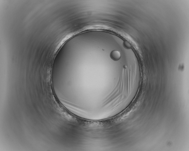 X0000090770945200708101807