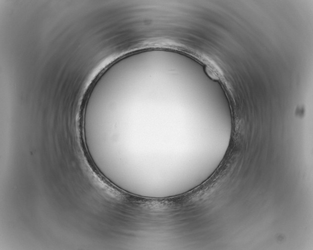 X0000090770947200708101807