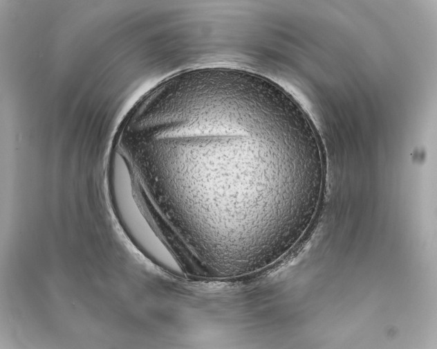 X0000090770949200708101807