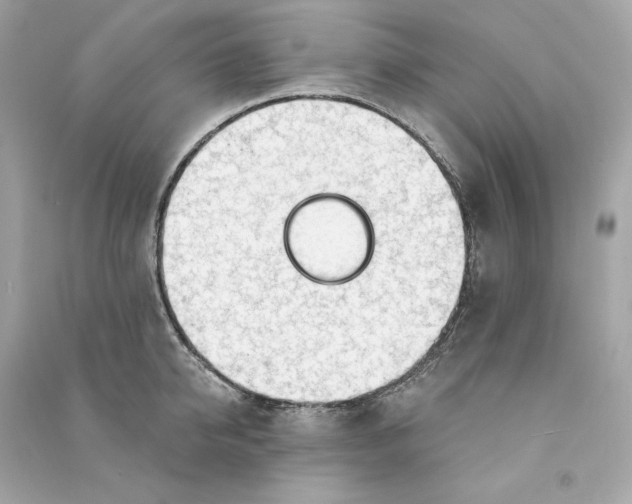 X0000090770950200708101807