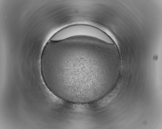 X0000090770951200708101807