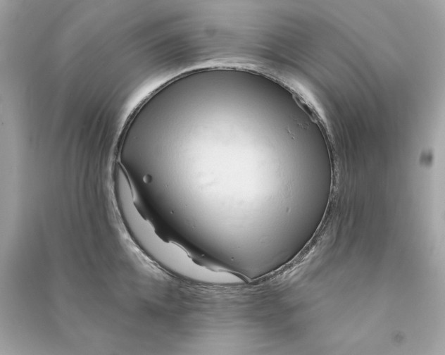X0000090770952200708101807
