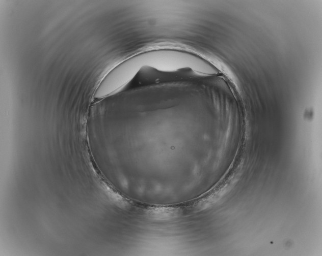 X0000090770953200708101807