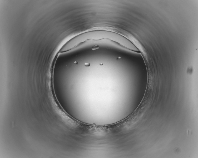 X0000090770955200708101807