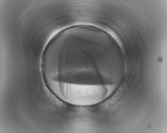 X0000090770958200708101807