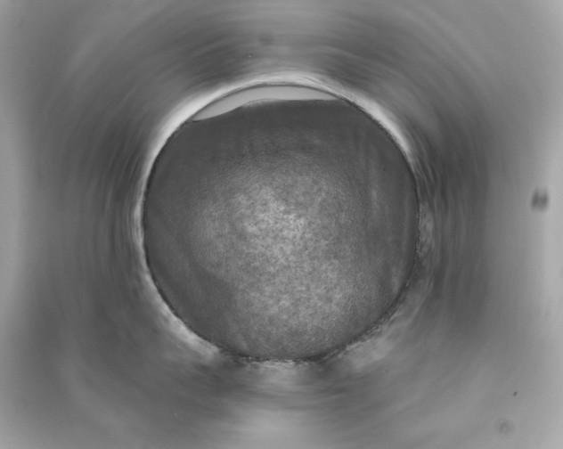 X0000090770959200708101807