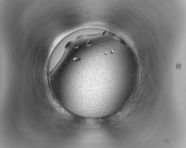 X0000090770960200708101807