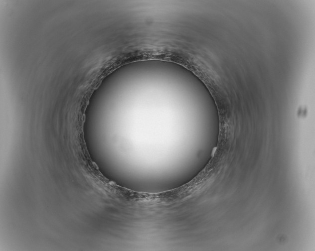 X0000090770961200708101806