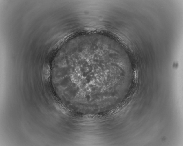 X0000090770963200708101806