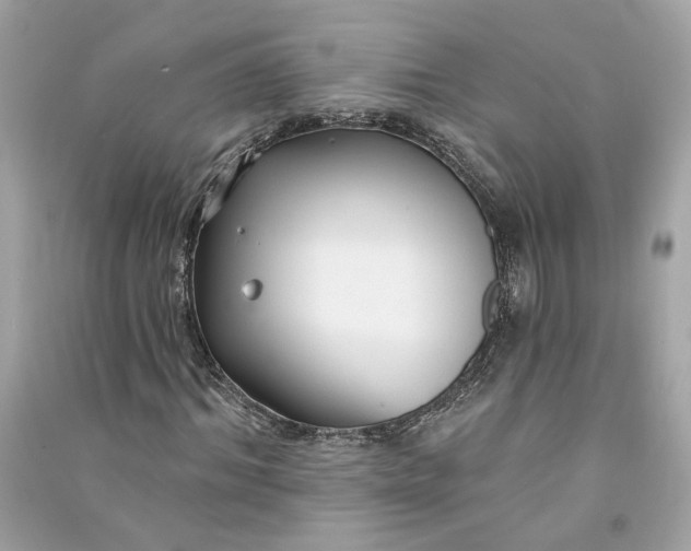 X0000090770964200708101806