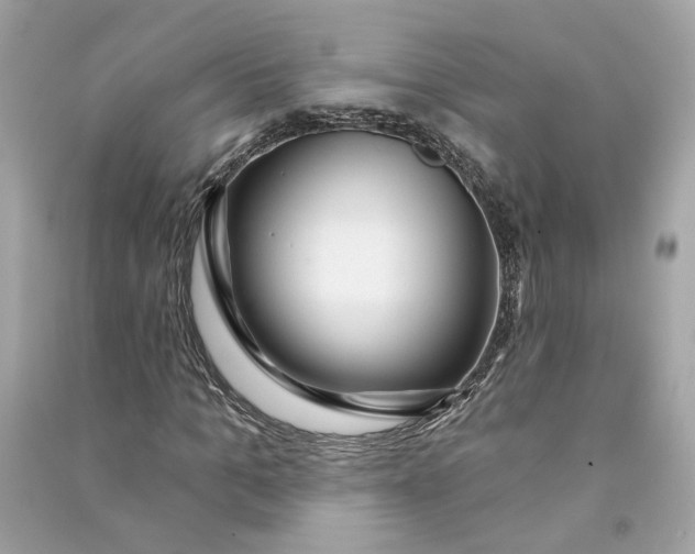 X0000090770965200708101806