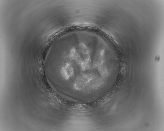 X0000090770966200708101806