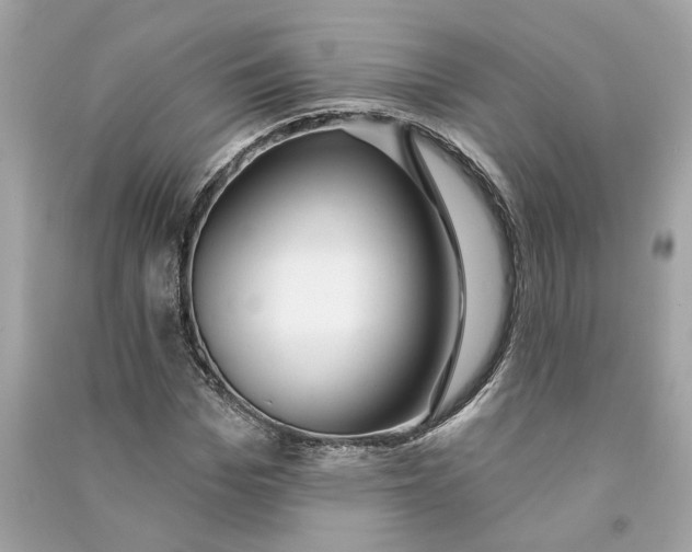 X0000090770969200708101806