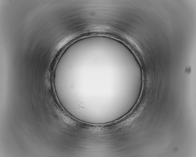 X0000090770970200708101806