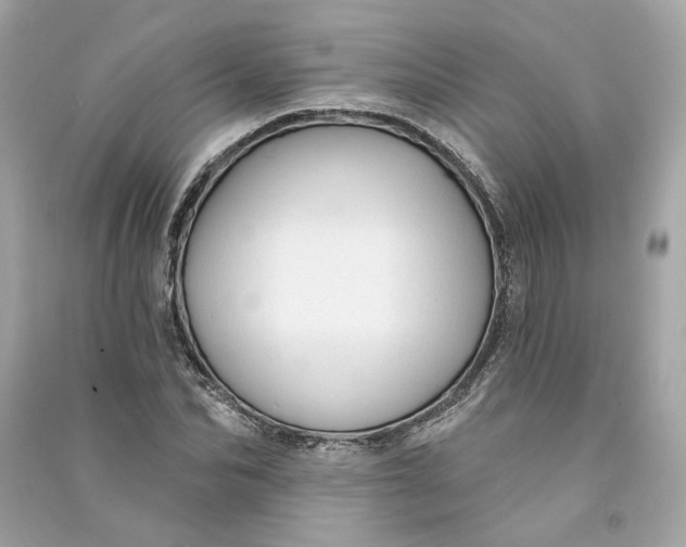 X0000090770974200708101806