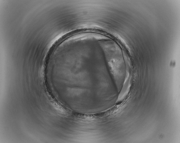 X0000090770975200708101806