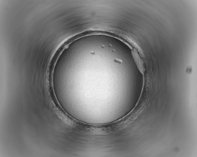 X0000090770976200708101806