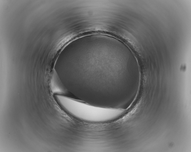 X0000090770977200708101806
