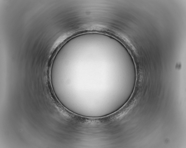 X0000090770978200708101806