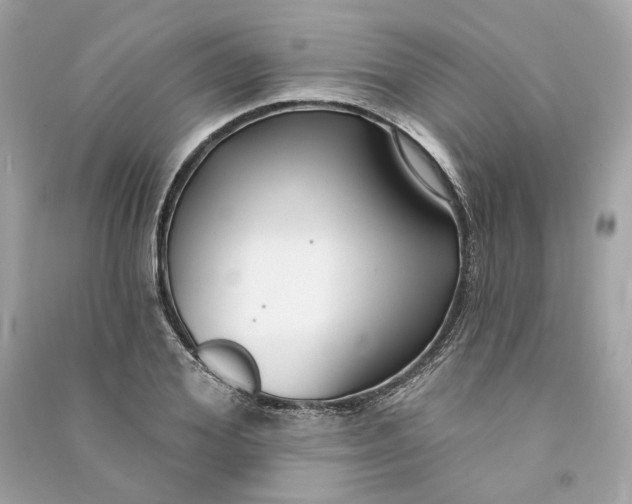 X0000090770980200708101806