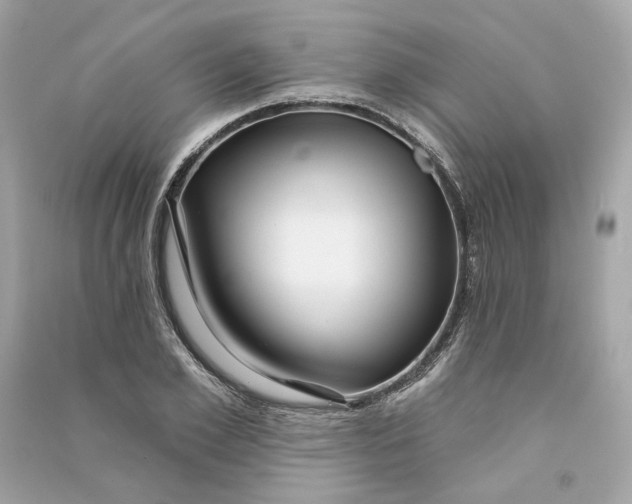 X0000090770981200708101806