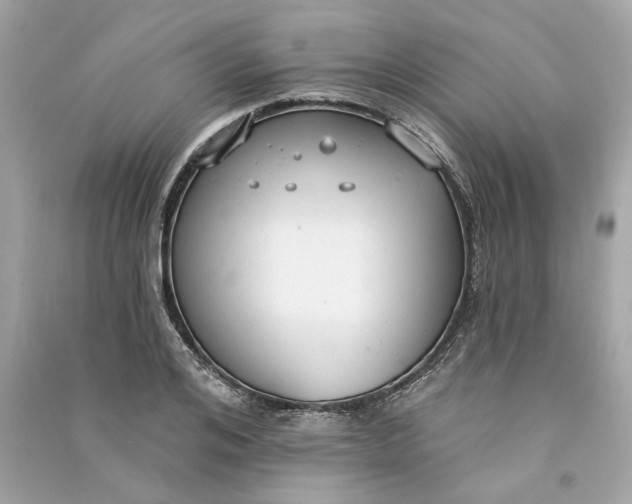 X0000090770984200708101806